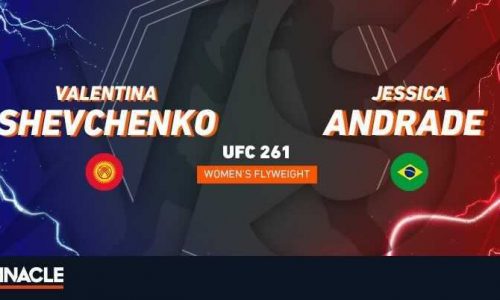 UFC 261: Валентина Шевченко – Джессика Андраде. Превью БК Pinnacle
